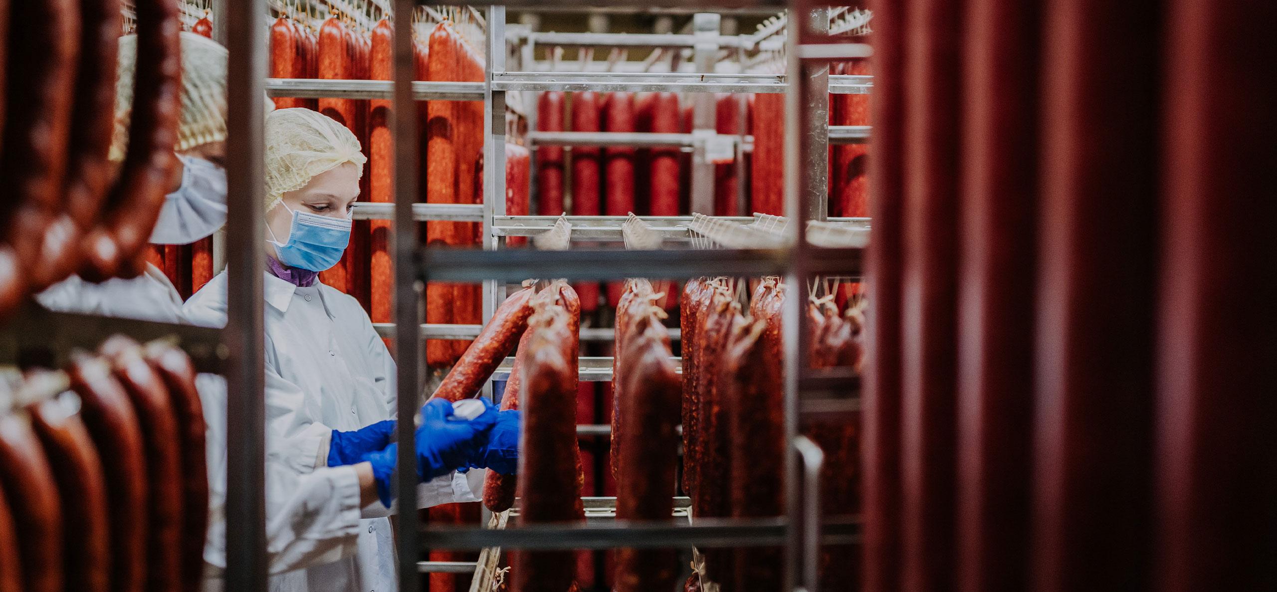 Meat and meat products in the household