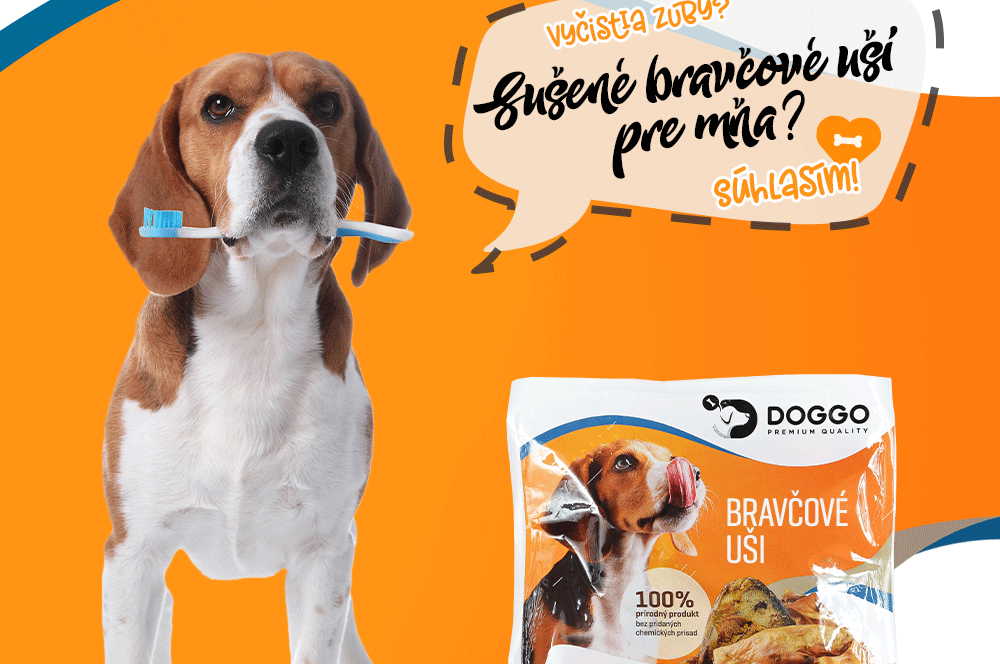 Súťaž o balíček výrobkov DOGGO od TAURISU