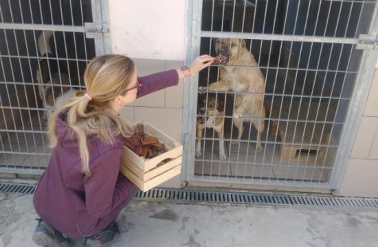 Tauris Group rozširuje svoj biznis. Začala vyrábať pamlsky pre psov