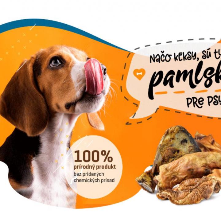 SÚŤAŽ - O bravčové uši DOGGO